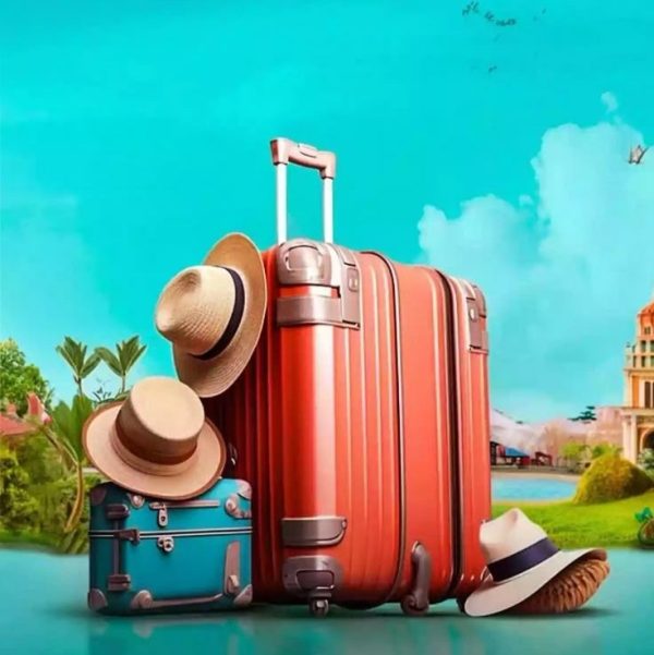 Kids’ Discovery Tours
